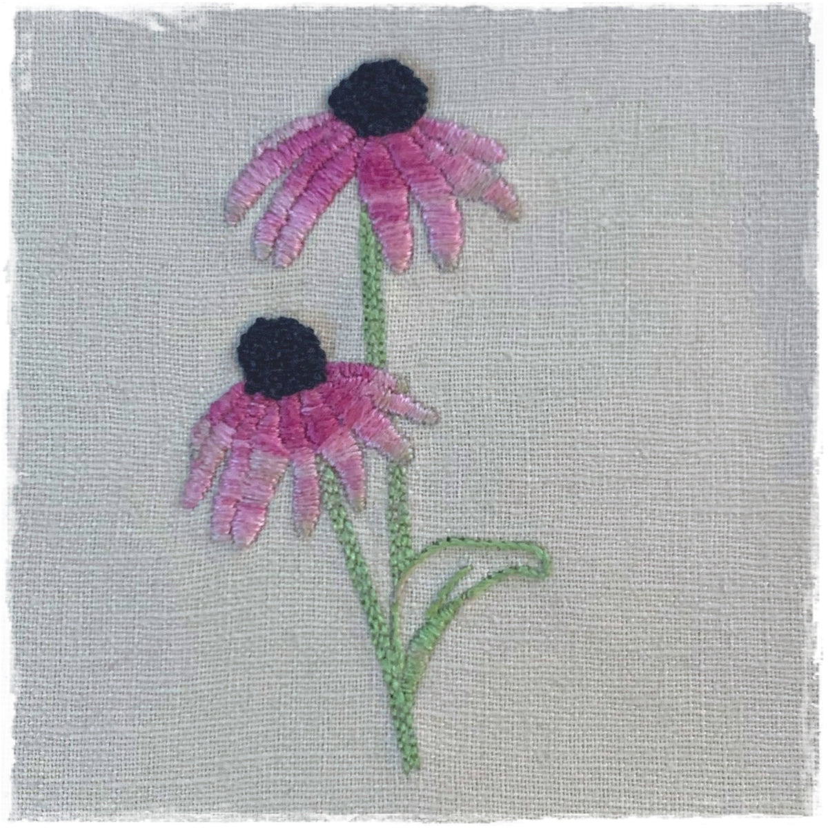 PURPLE CONEFLOWER HAND EMBROIDERY PATTERN - DIGITAL DOWNLOAD