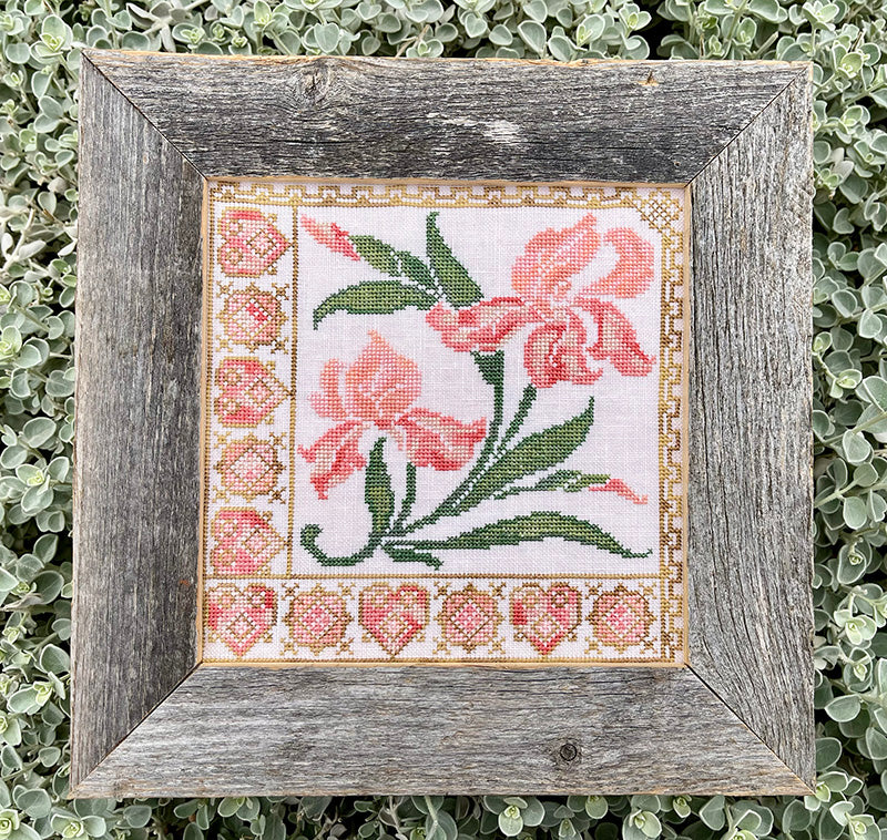 JAN HICKS IRIS CHART - DIGITAL DOWNLOAD