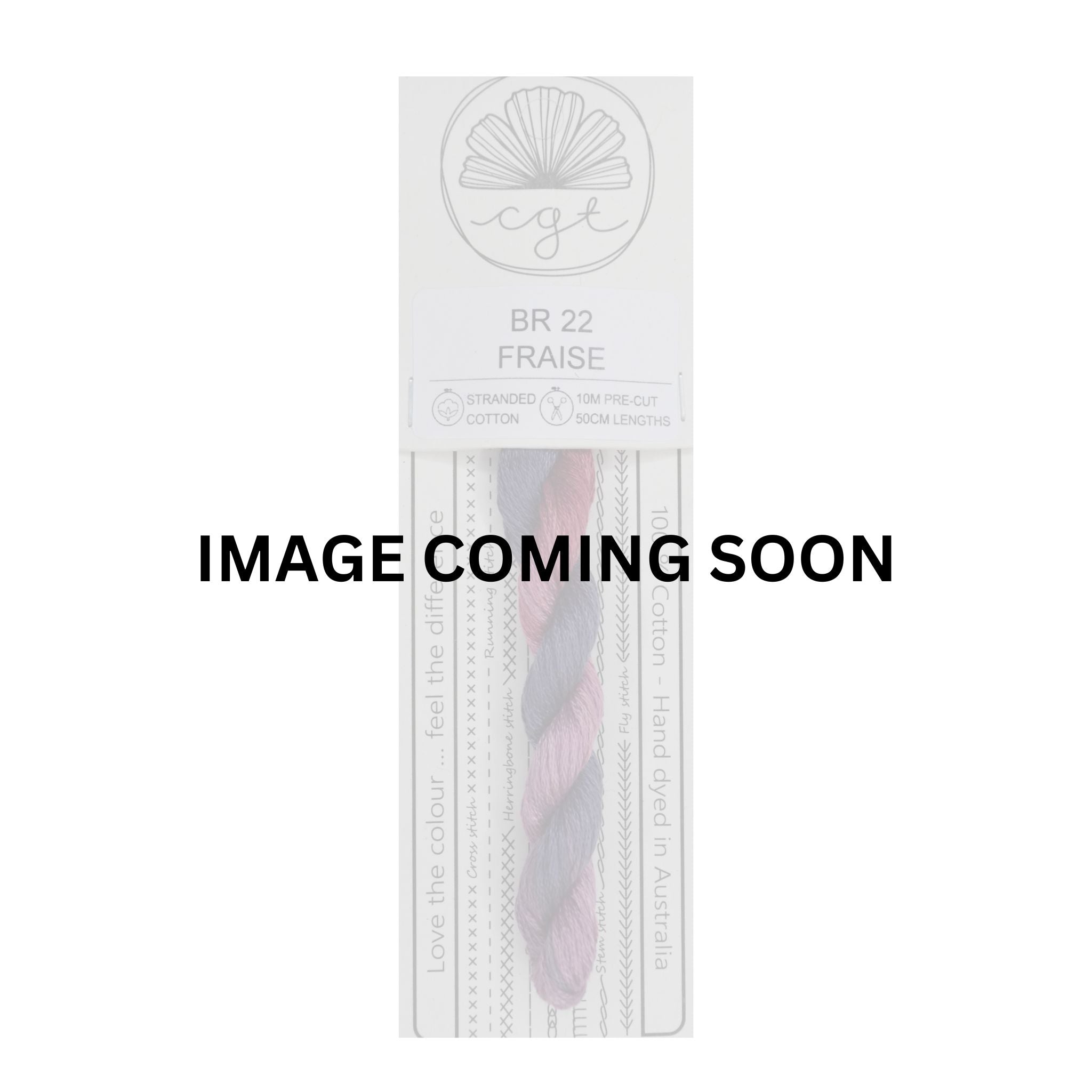 BR22 FRAISE