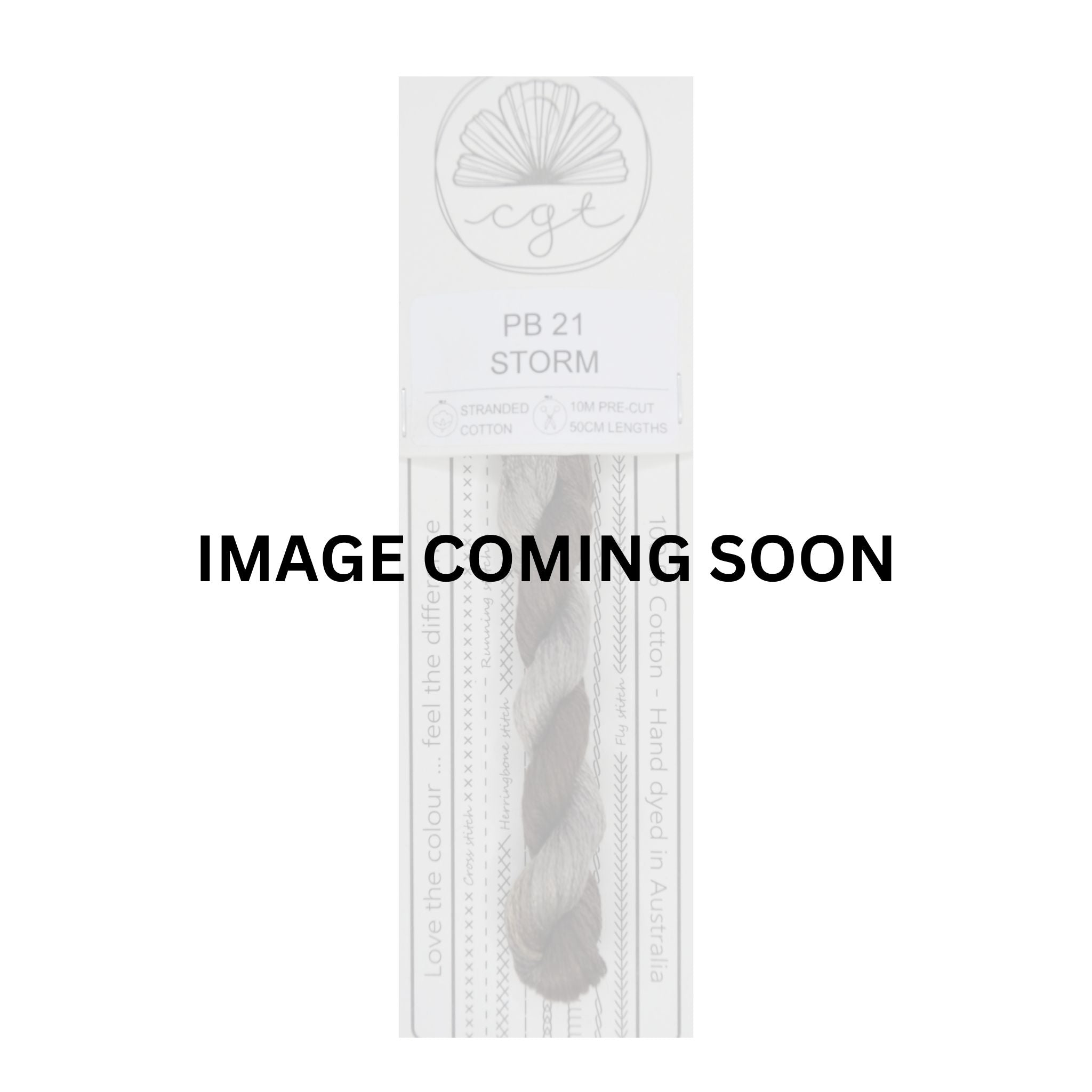 PB21 STORM