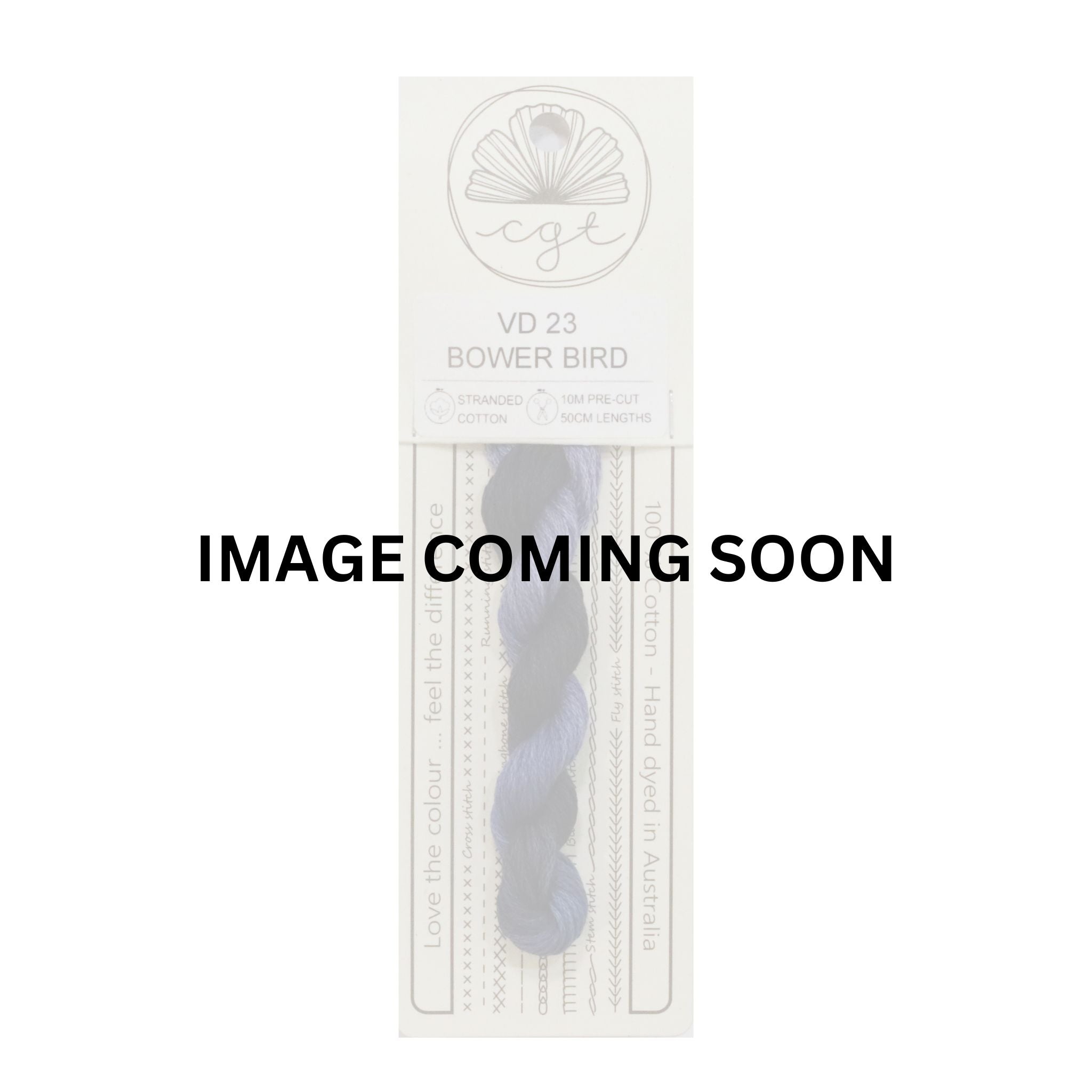 VD23 BOWER BIRD