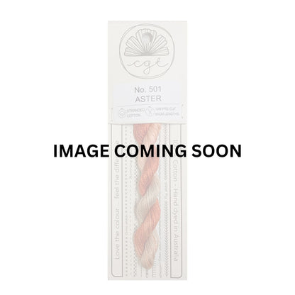 501 ASTER