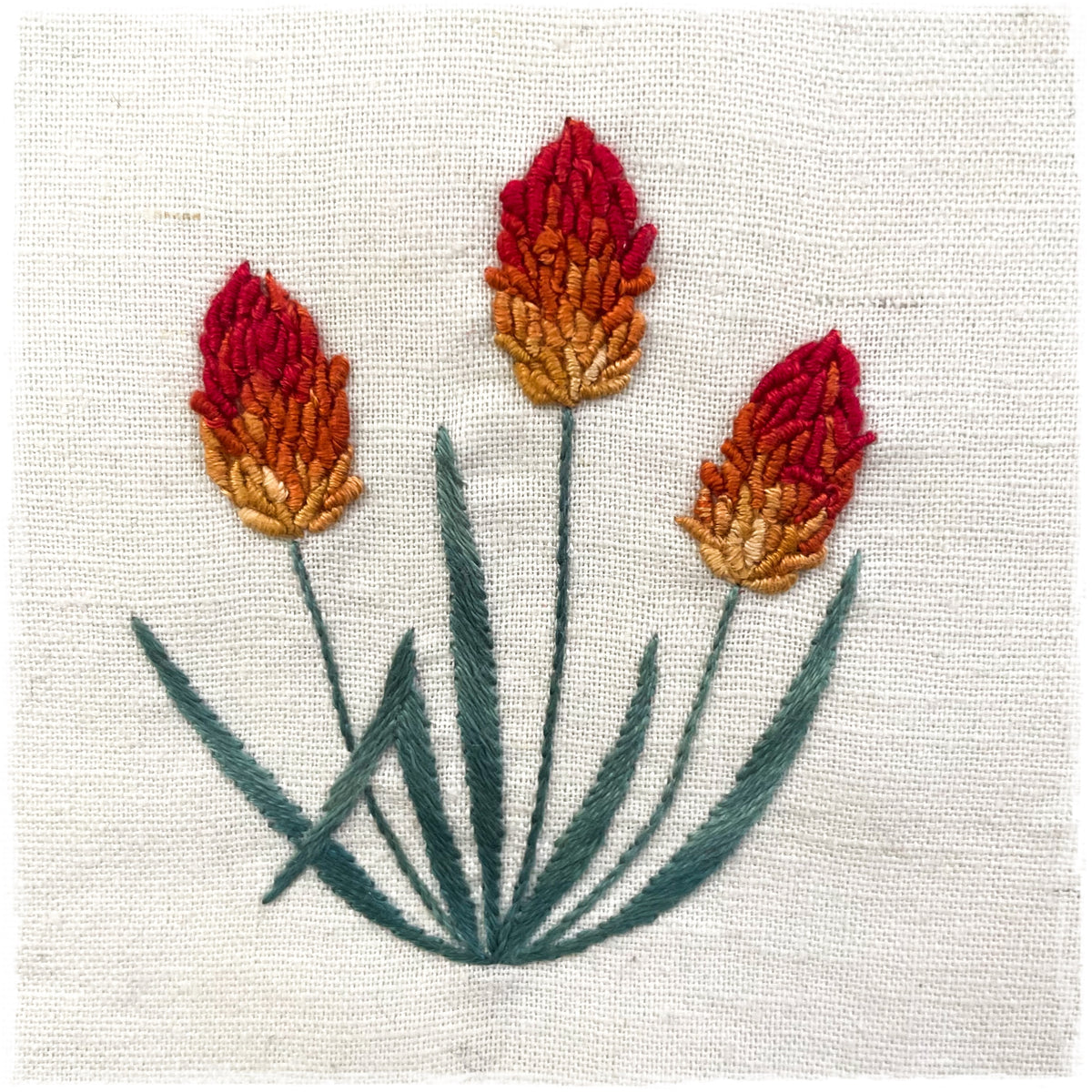 RED HOT POKER FLOWER HAND EMBROIDERY PATTERN - DIGITAL DOWNLOAD
