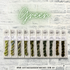 greensquare.png