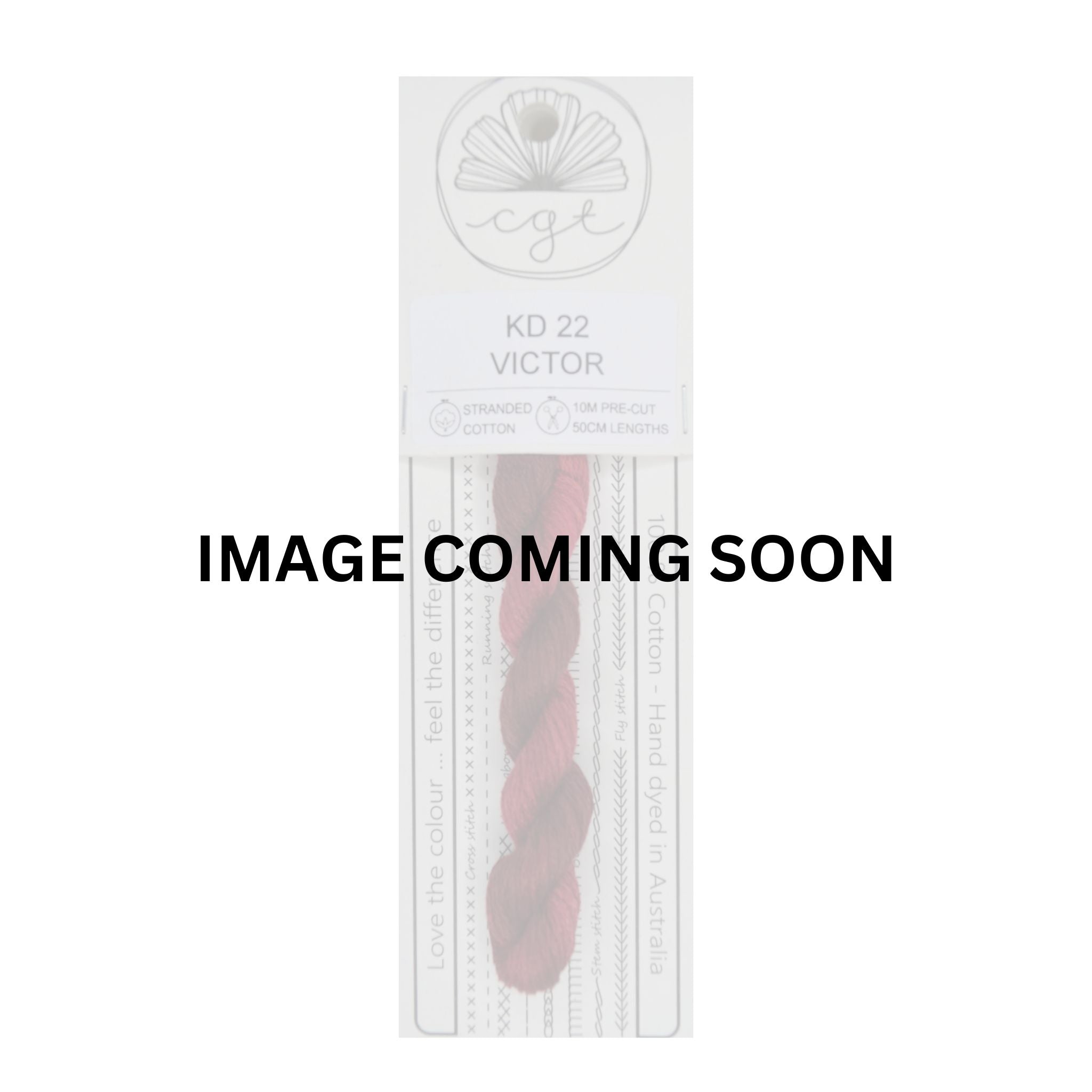 KD22 VICTOR